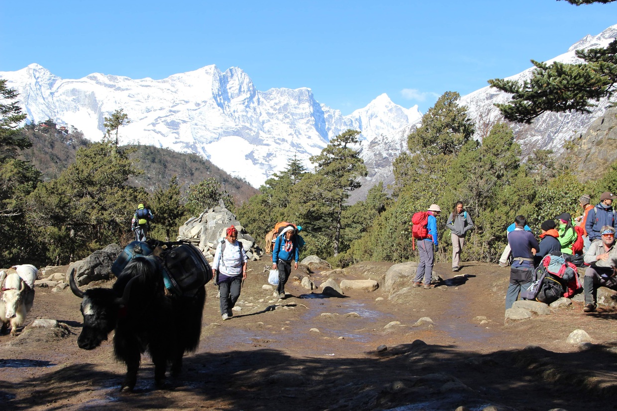 Lush green forest, small rivers, and rugged terrain along the way while trekking to Everest Base Camp