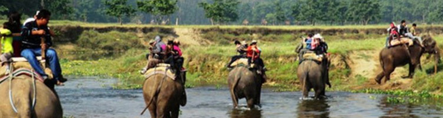 Elephant Safari At Chitwan National Park